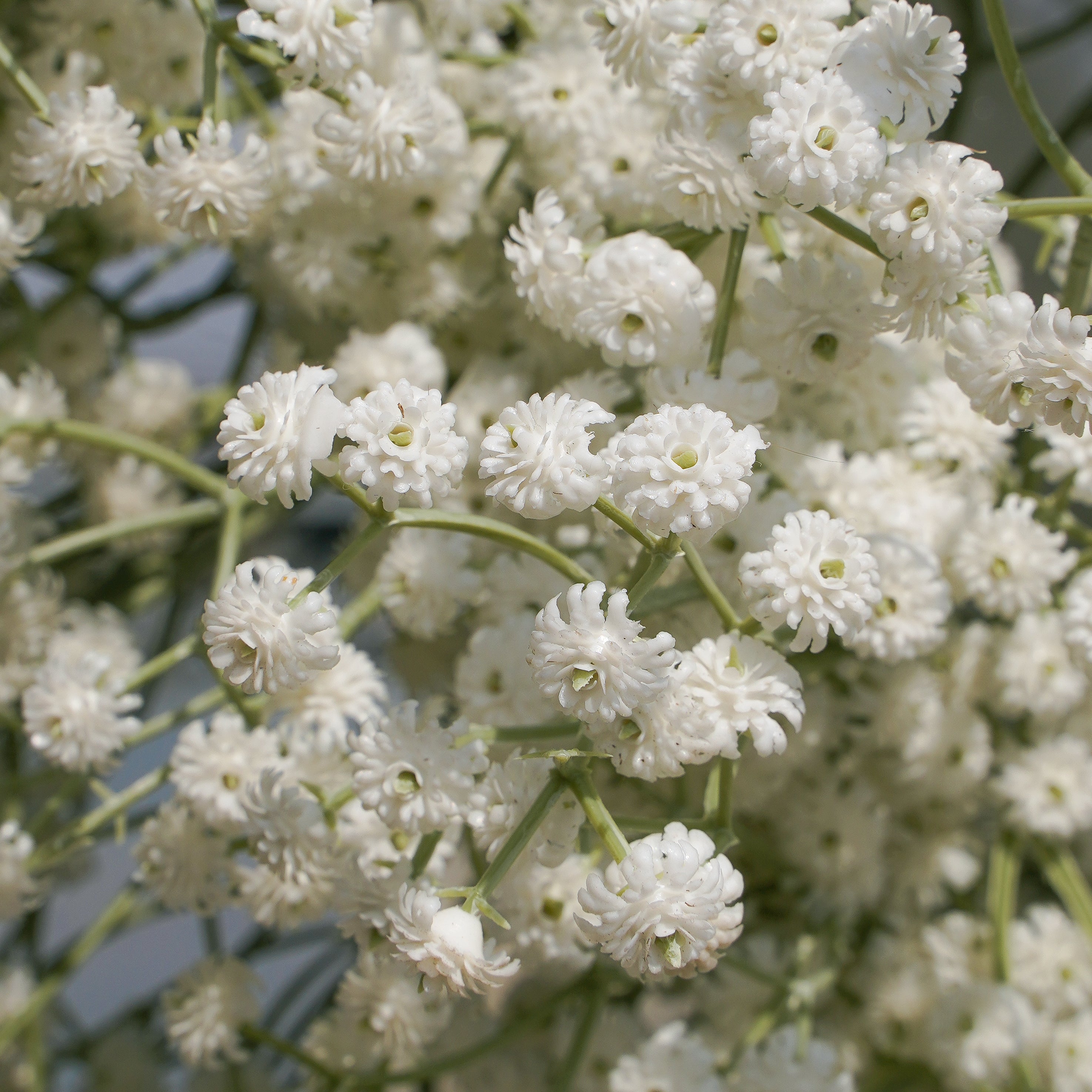 2025 New Wedding Party Background Floral Arch Decoration  -R957