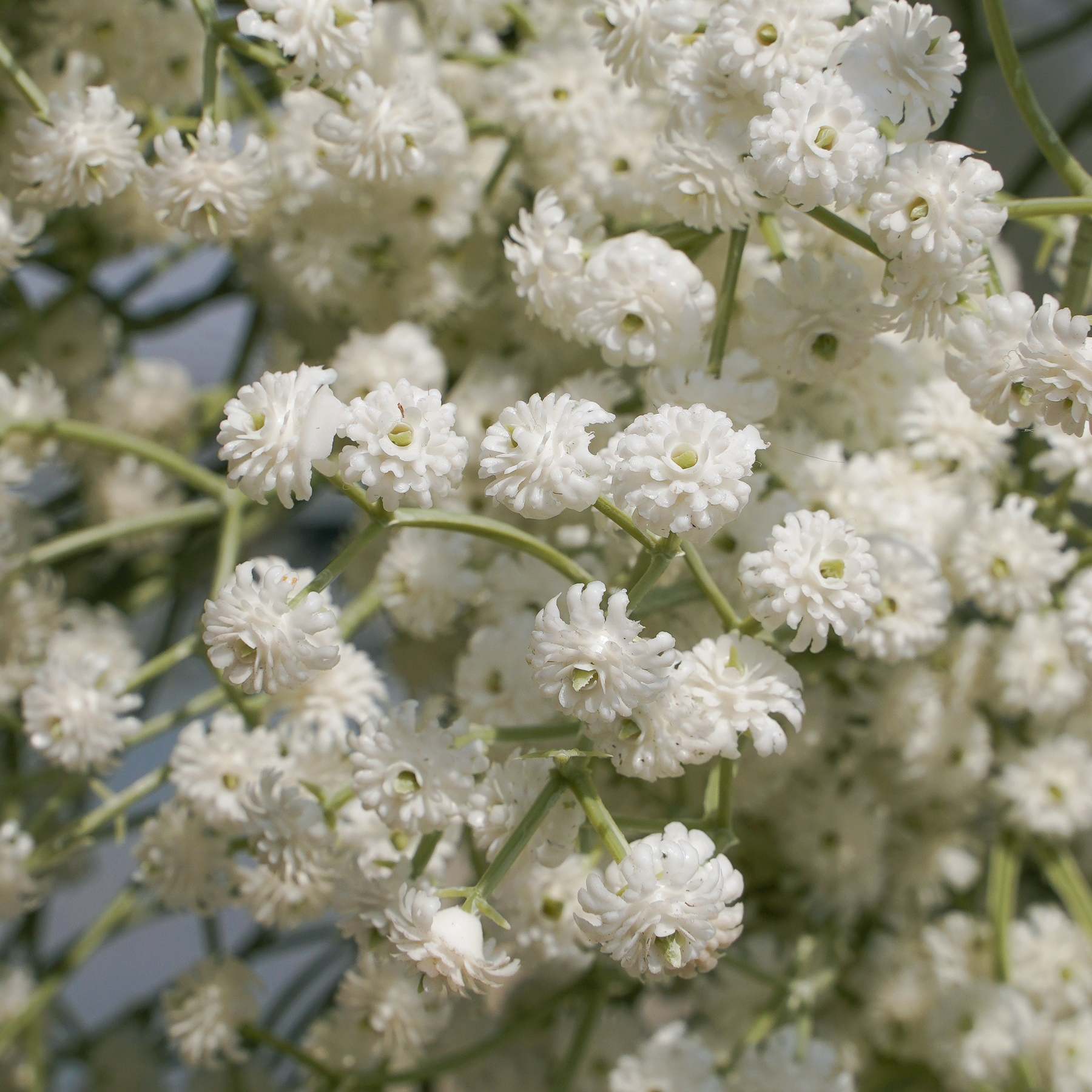 2025 New Wedding Party Background Floral Arch Decoration  -R957