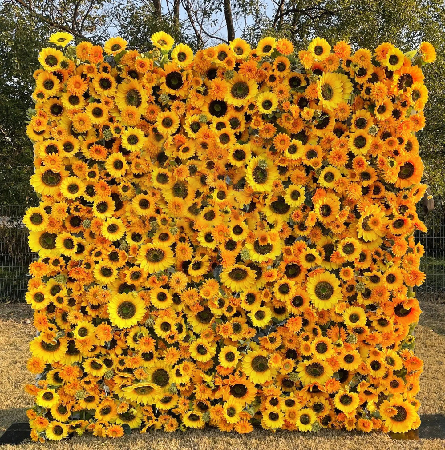 Sunflower：5D Fabric Artificial rolling up curtain flower wall