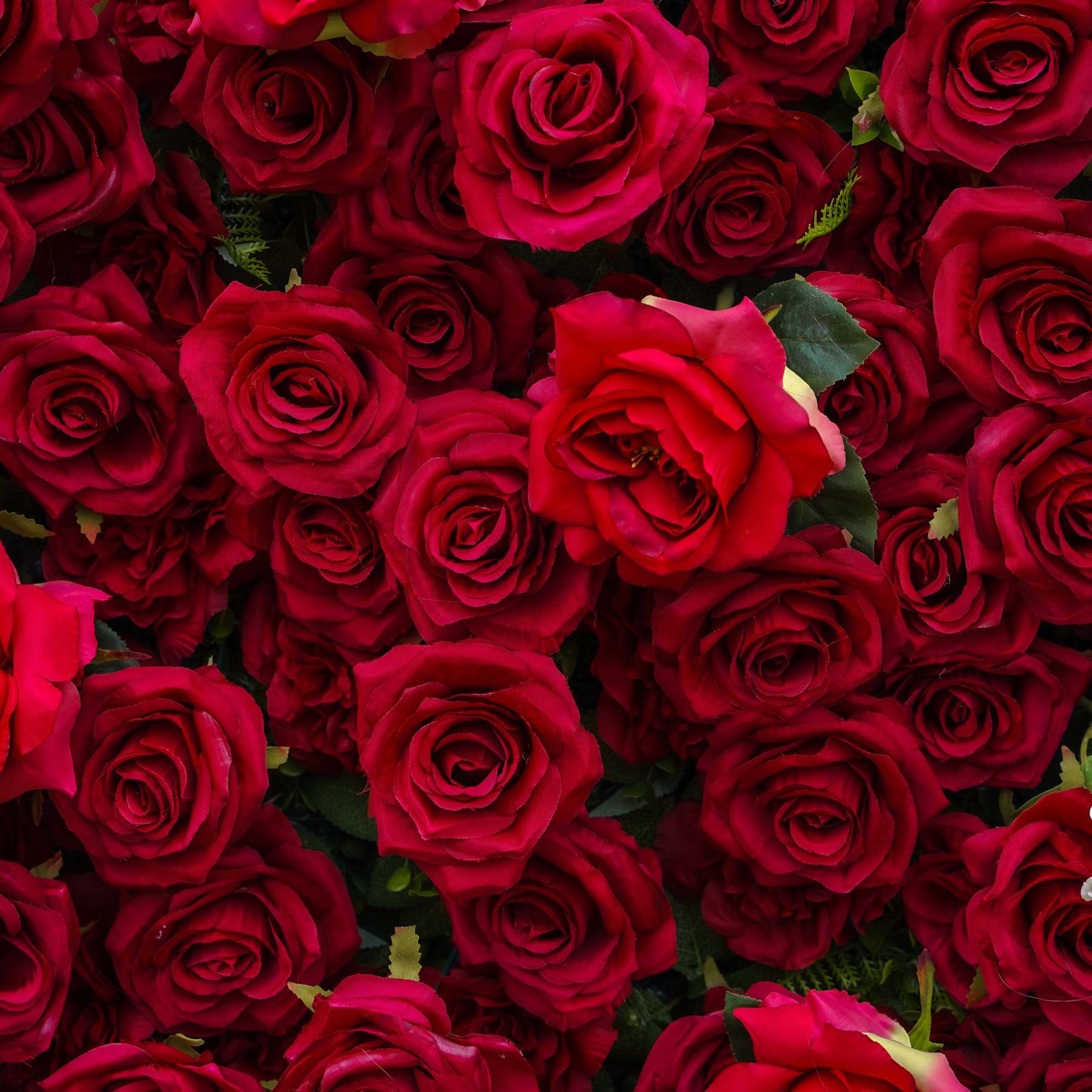 Valentina：5D Fabric Artificial rolling up curtain flower wall