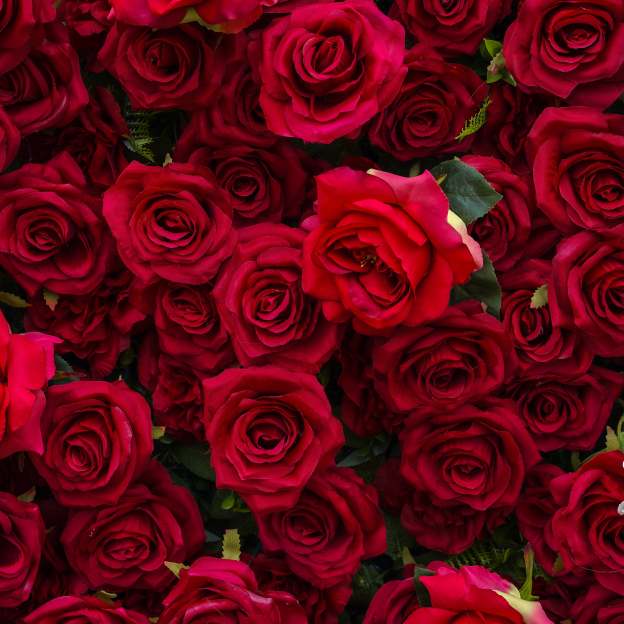 Valentina：5D Fabric Artificial rolling up curtain flower wall