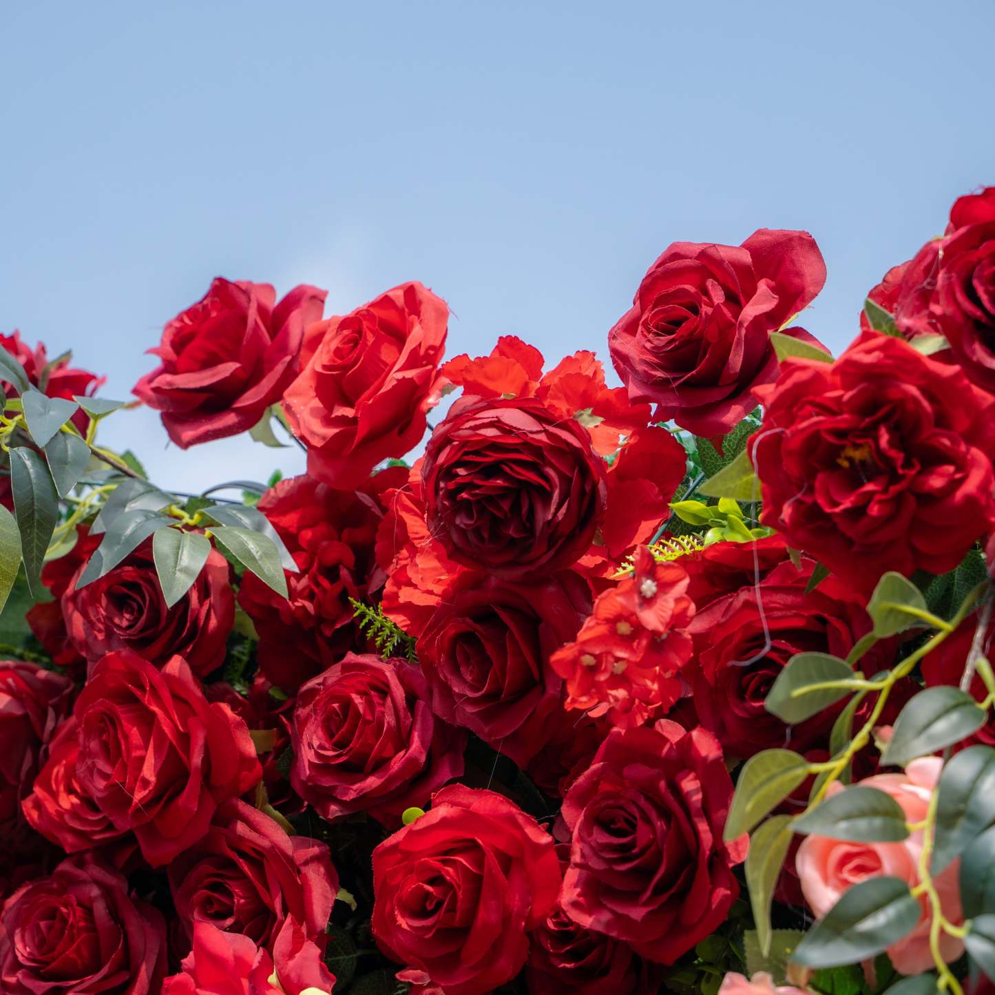 Aileen：3D Fabric Artificial rolling up curtain flower wall