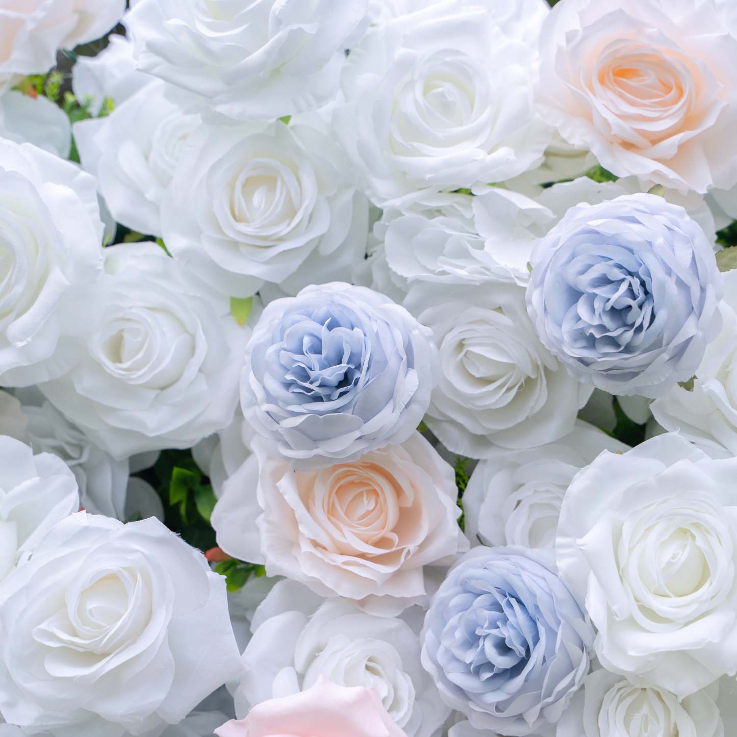 Amore：4D Fabric Artificial zip up curtain flower wall 8ft*8ft