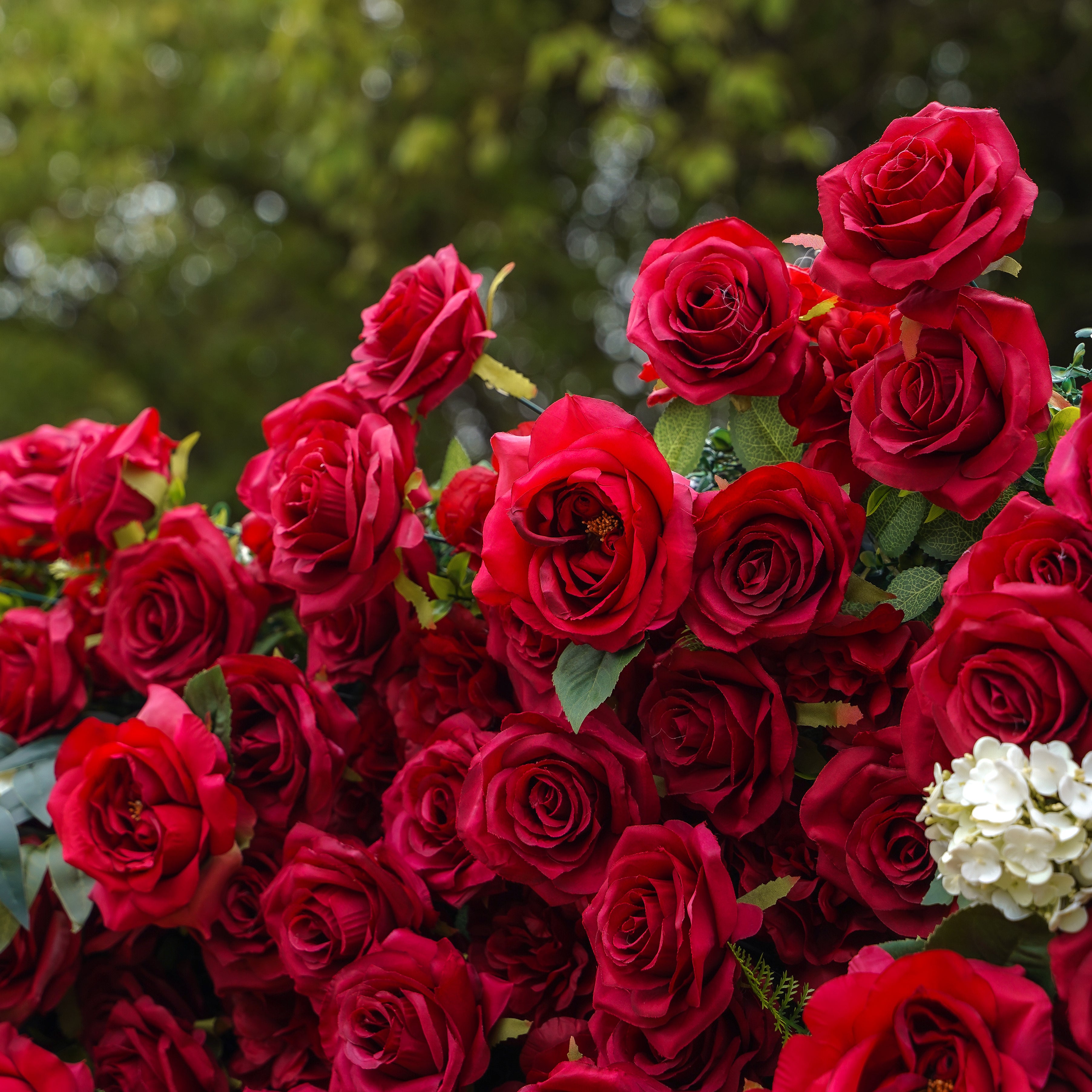 Valentina：5D Fabric Artificial rolling up curtain flower wall