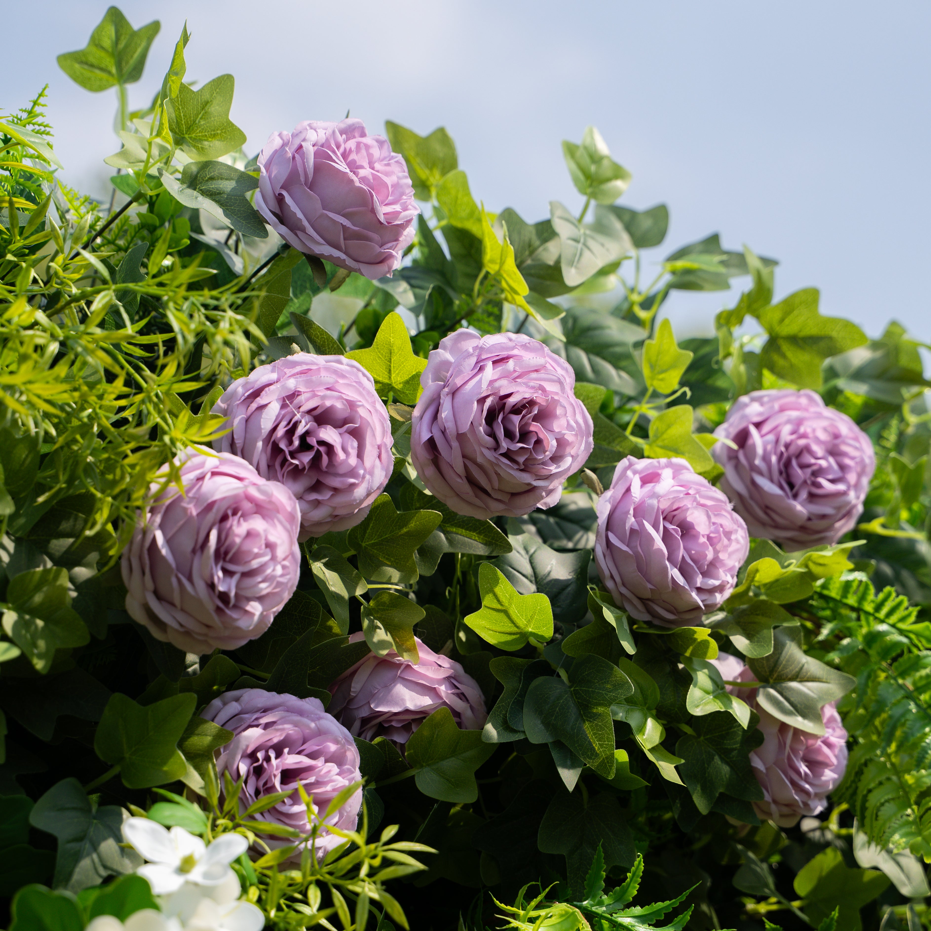 Brett：5D Fabric Artificial rolling up curtain flower wall (Ready to ship)