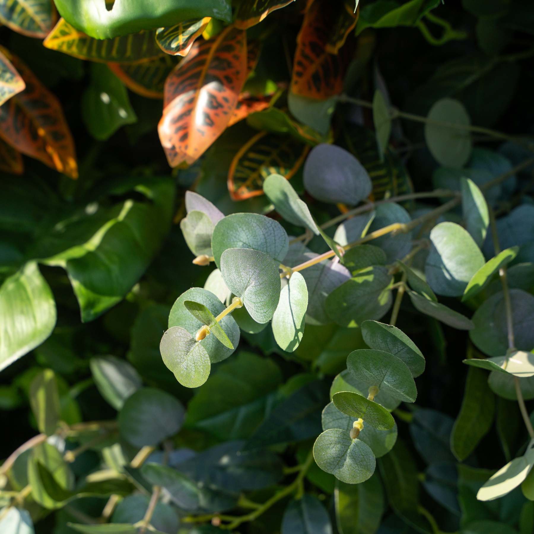 Cassandra：5D Fabric Artificial rolling up curtain flower wall