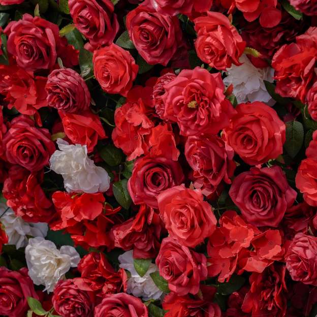 Five： Fabric Artificial zip up curtain flower wall 8ft*8ft