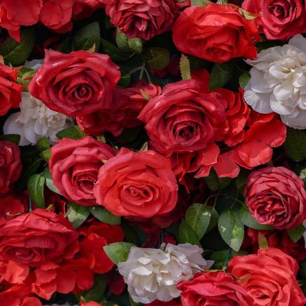 Five： Fabric Artificial zip up curtain flower wall 8ft*8ft