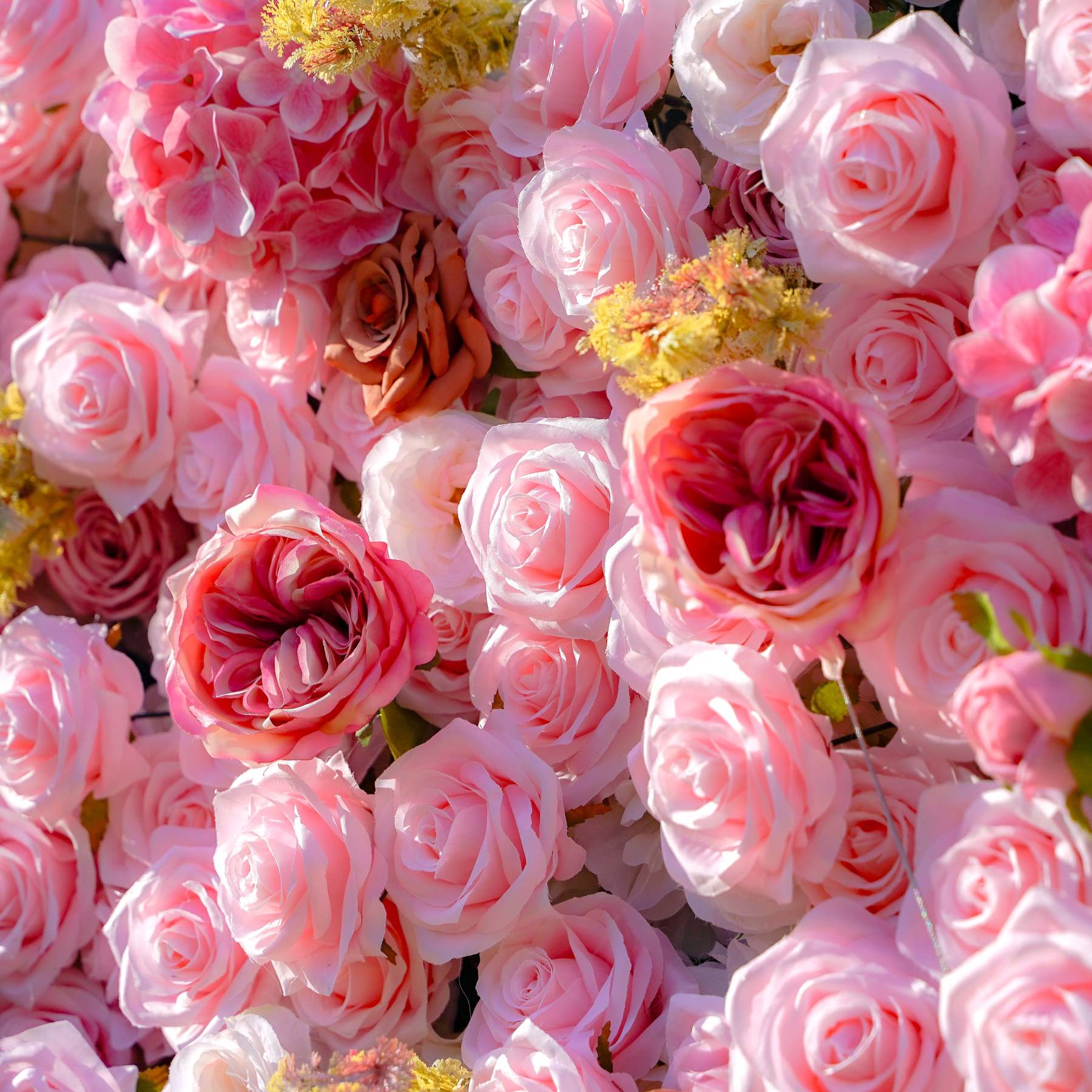 Gabrielle：7D 2023 New Fabric Artificial rolling up curtain flower wall