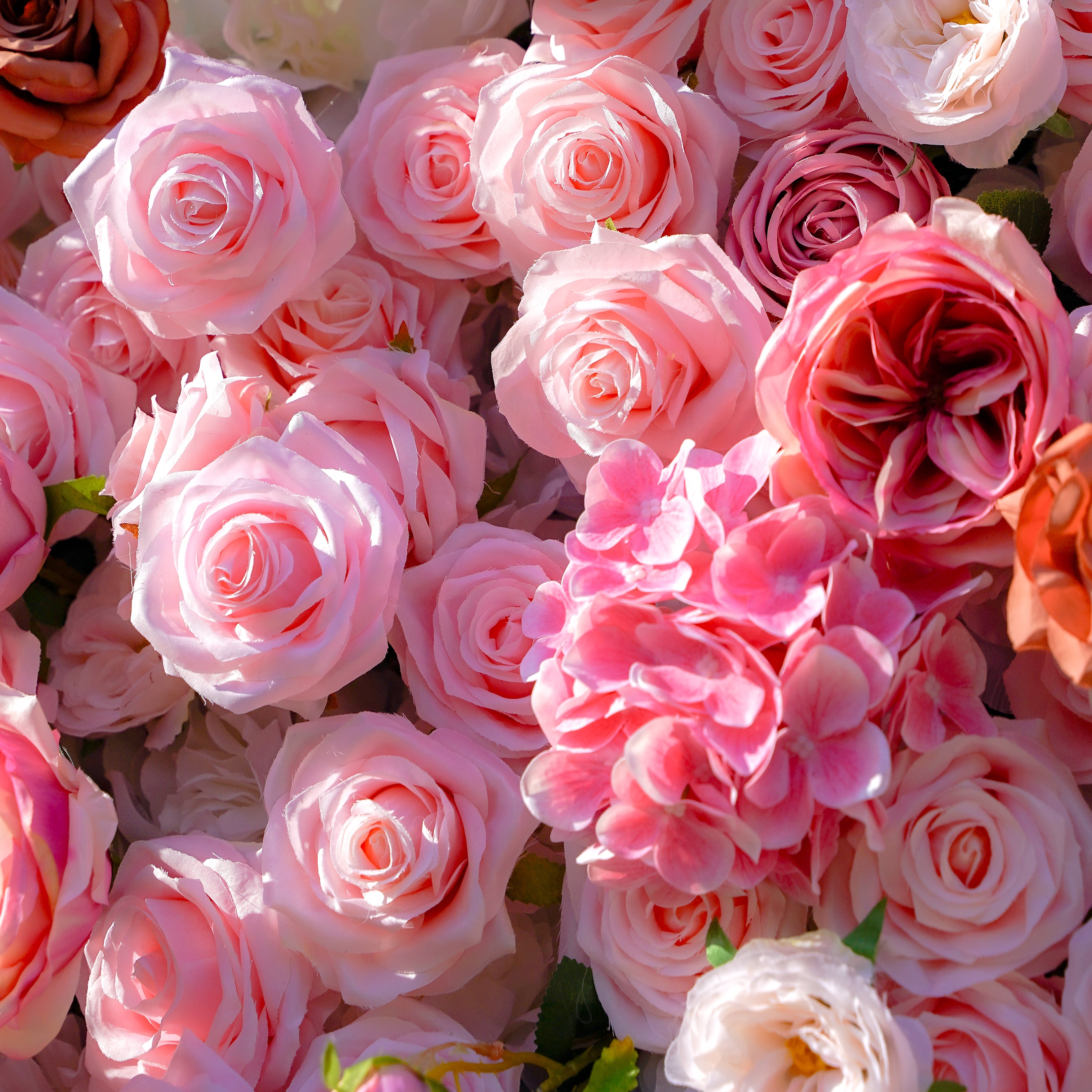 Gabrielle：7D 2023 New Fabric Artificial rolling up curtain flower wall