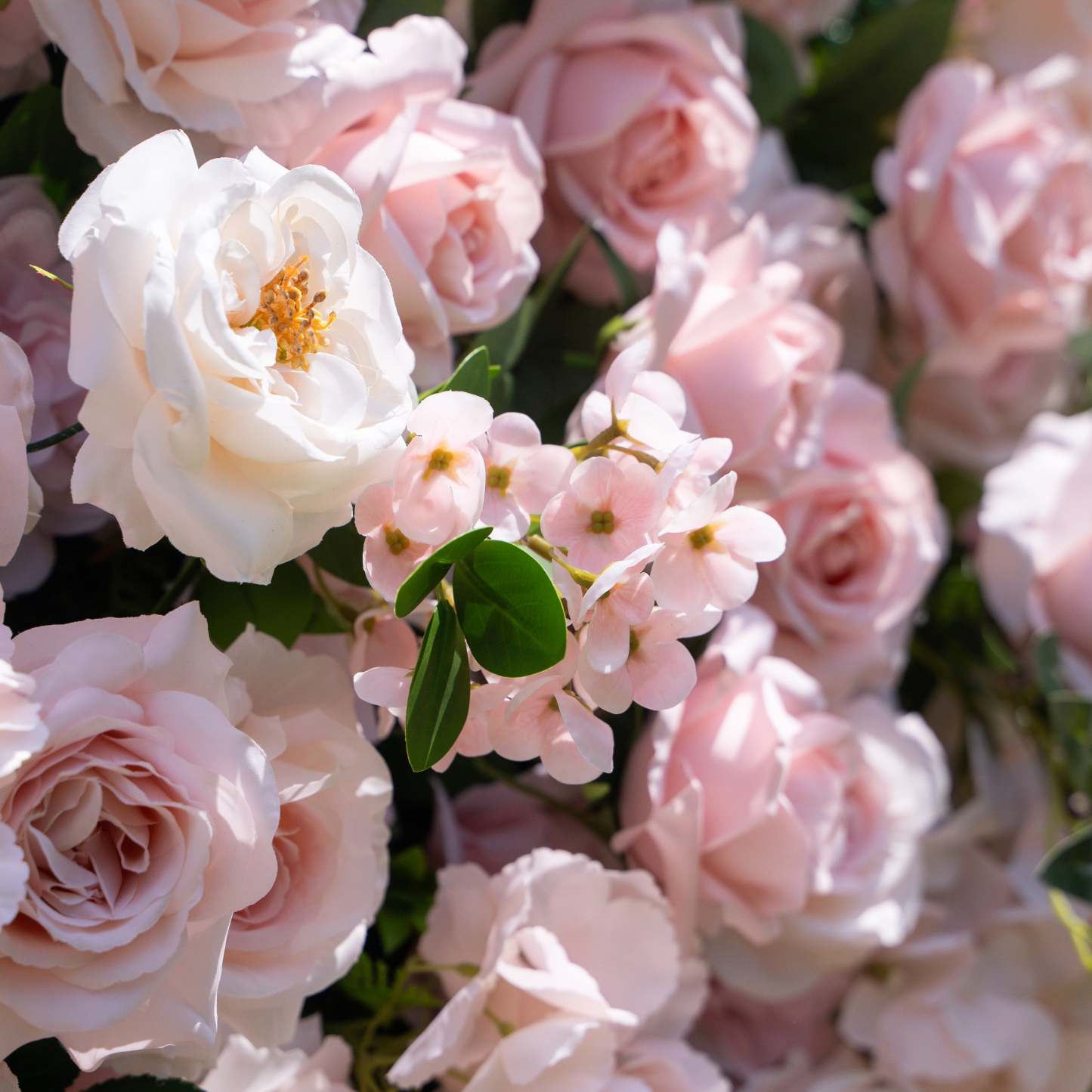 Juli：3D Fabric Artificial rolling up curtain flower wall