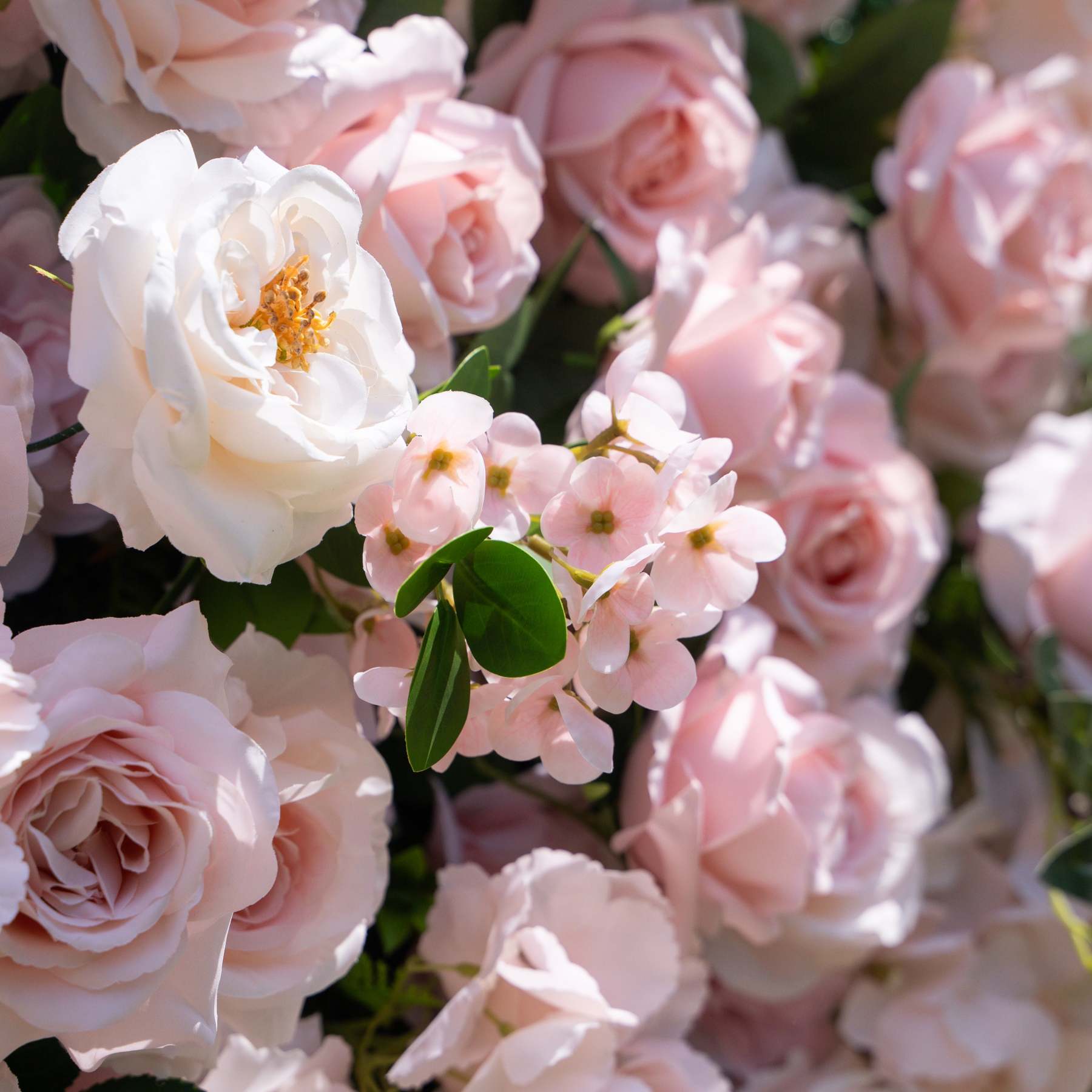 Juli：3D Fabric Artificial rolling up curtain flower wall