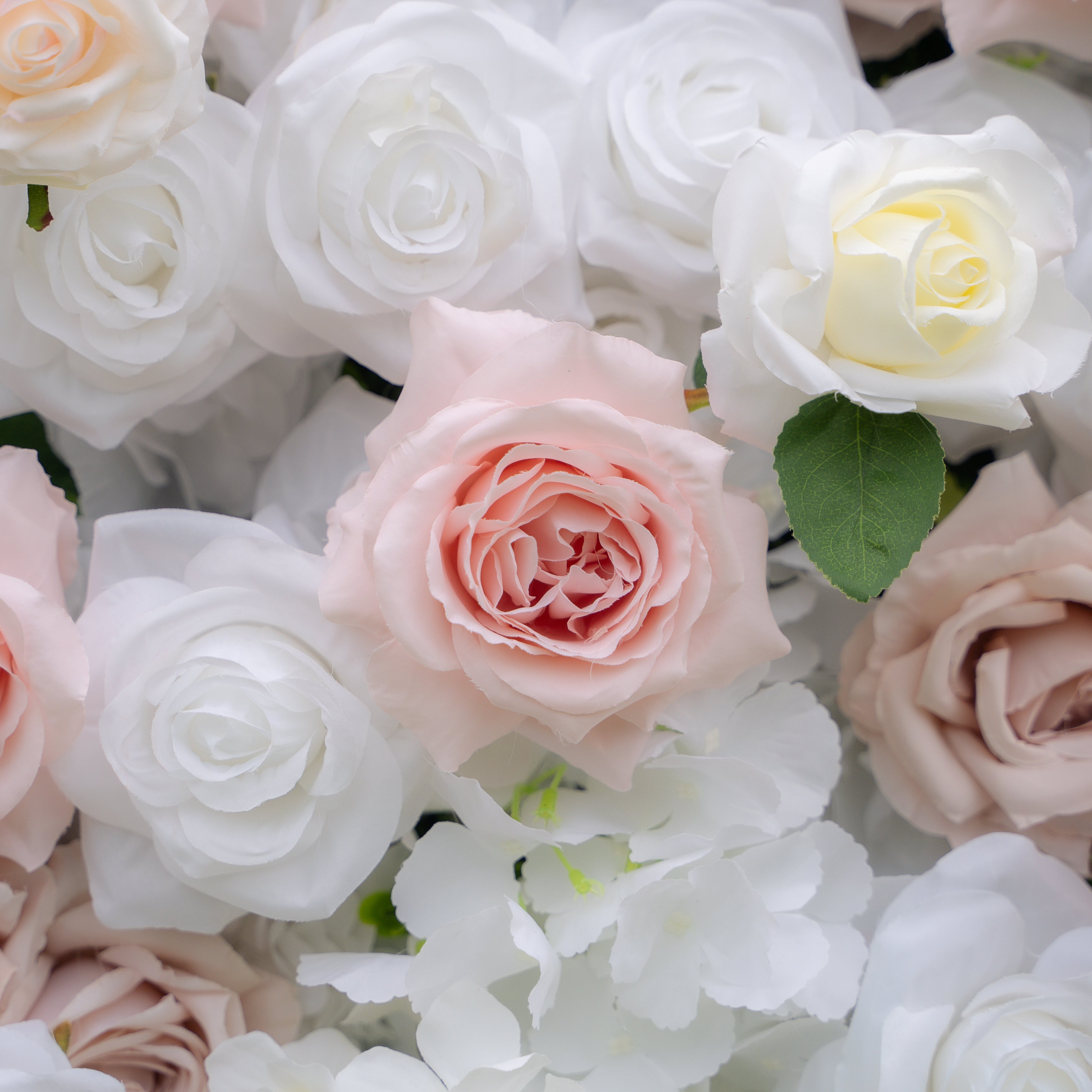 Khloe：4D Fabric Artificial rolling up curtain flower wall