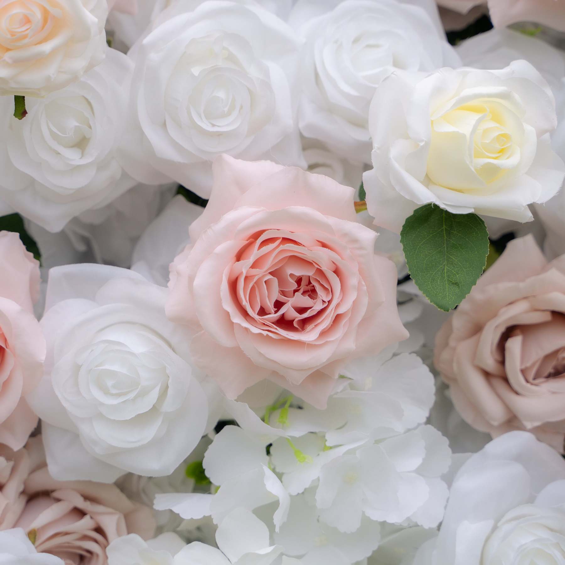 Khloe：4D Fabric Artificial rolling up curtain flower wall