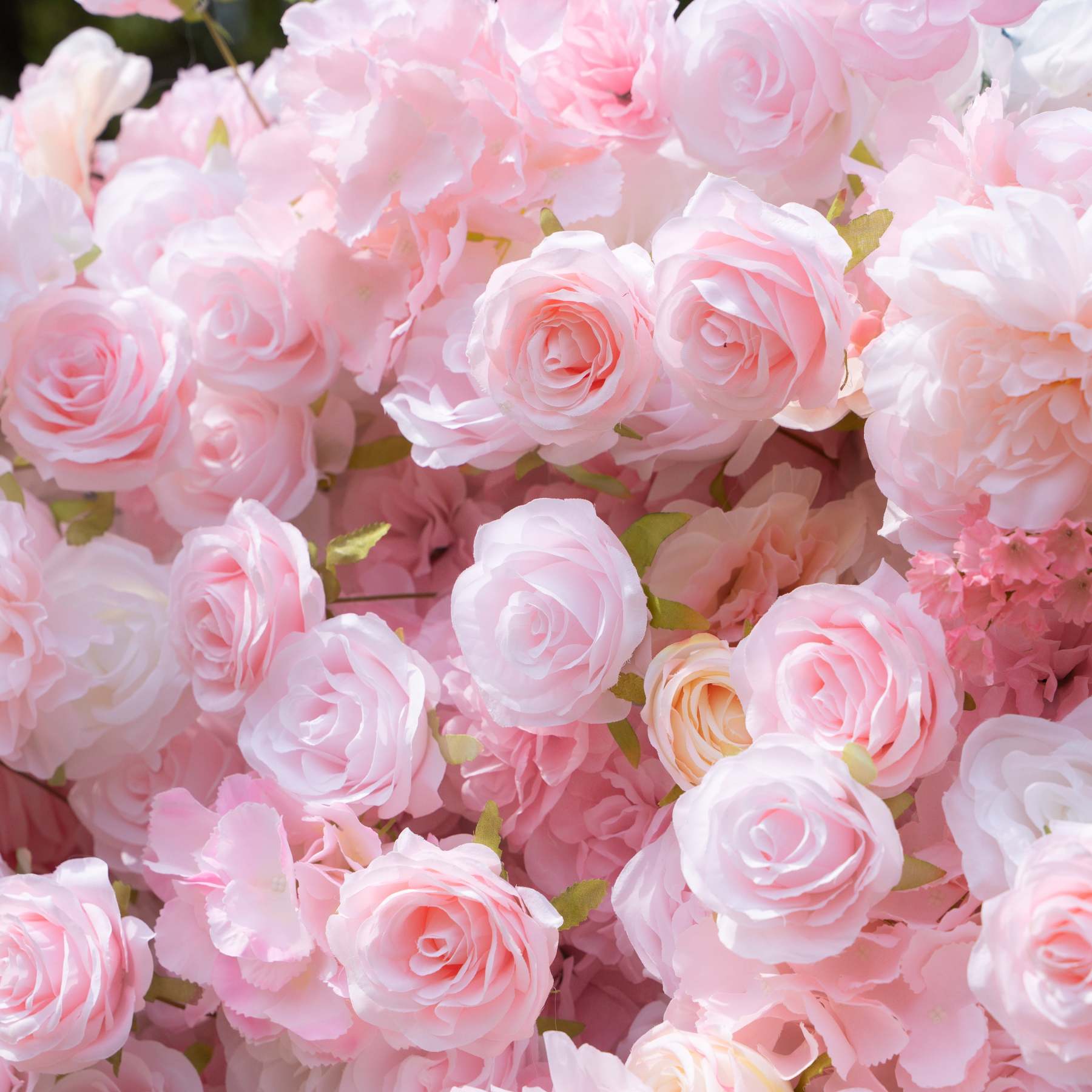 Kissing：5D Fabric Artificial rolling up curtain flower wall