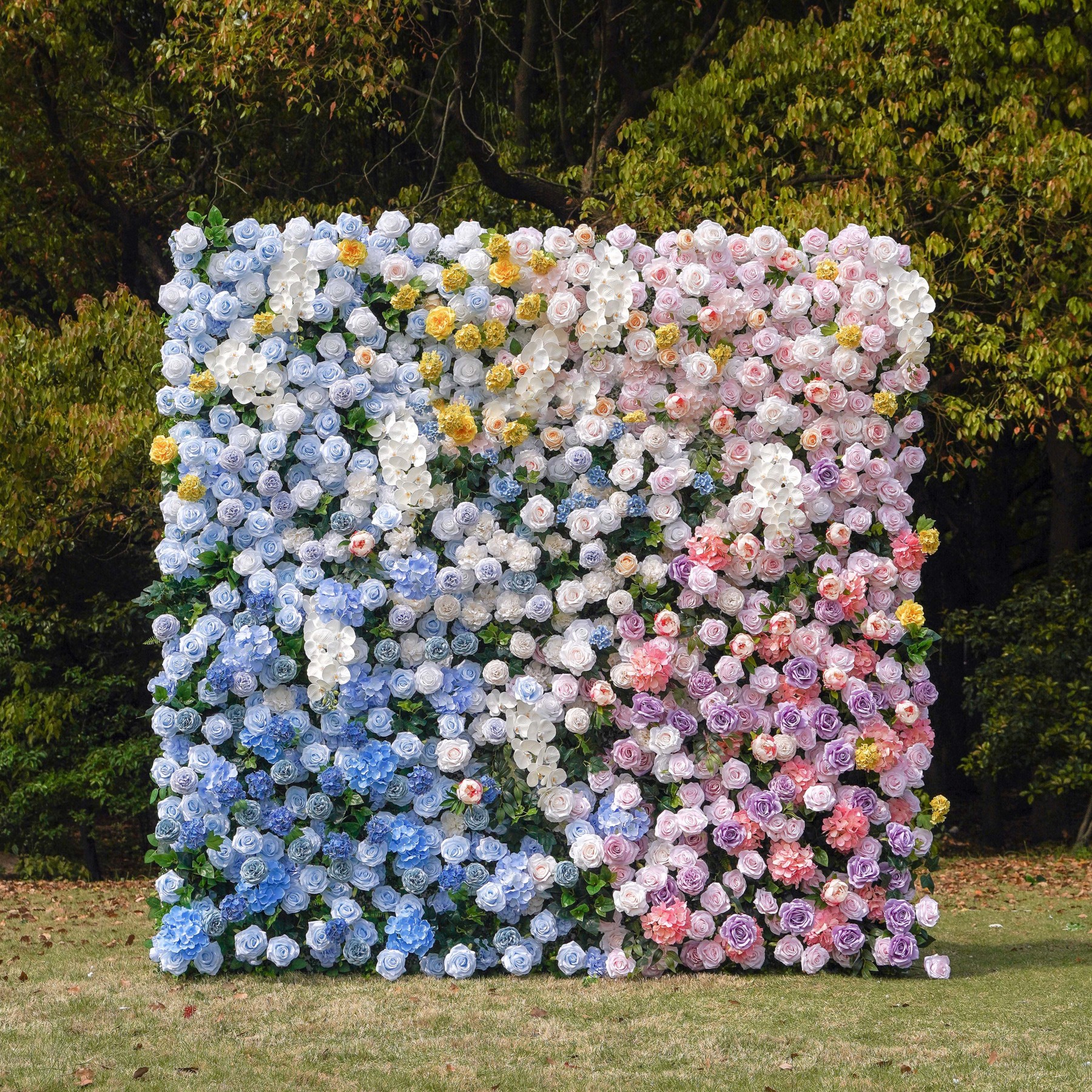 Lotte：5D Fabric Artificial rolling up curtain flower wall