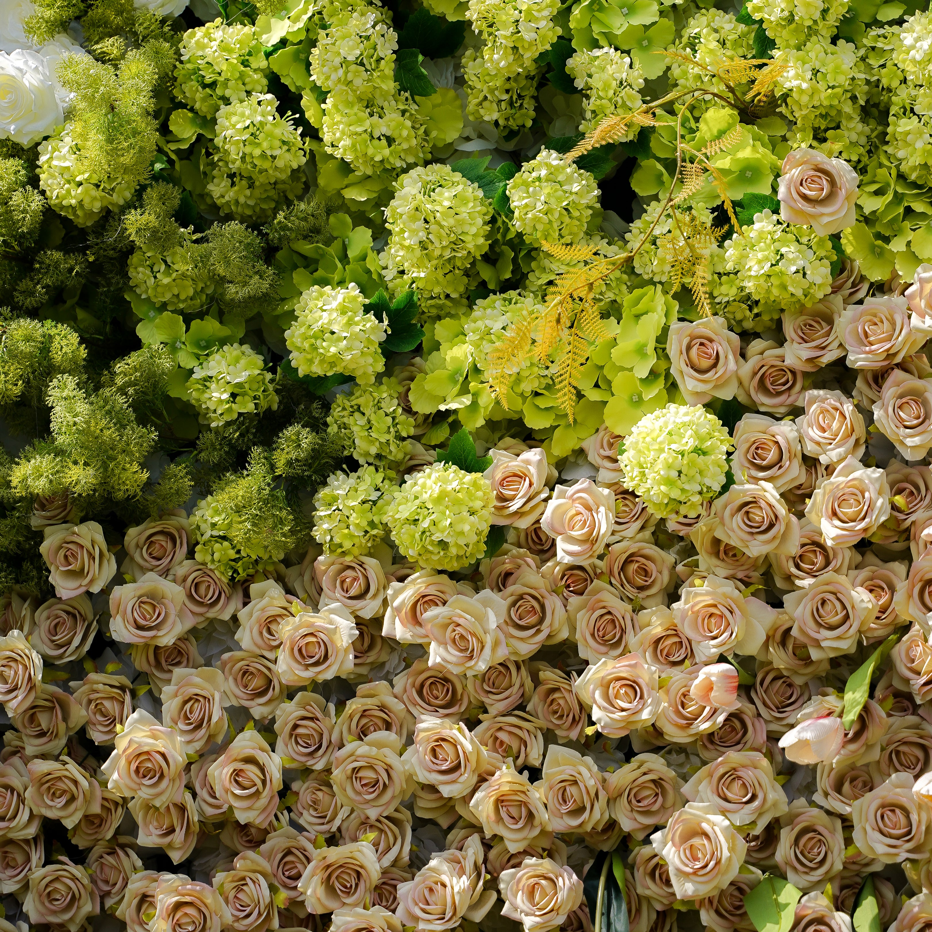 Maia：7D Fabric Artificial rolling up curtain flower wall