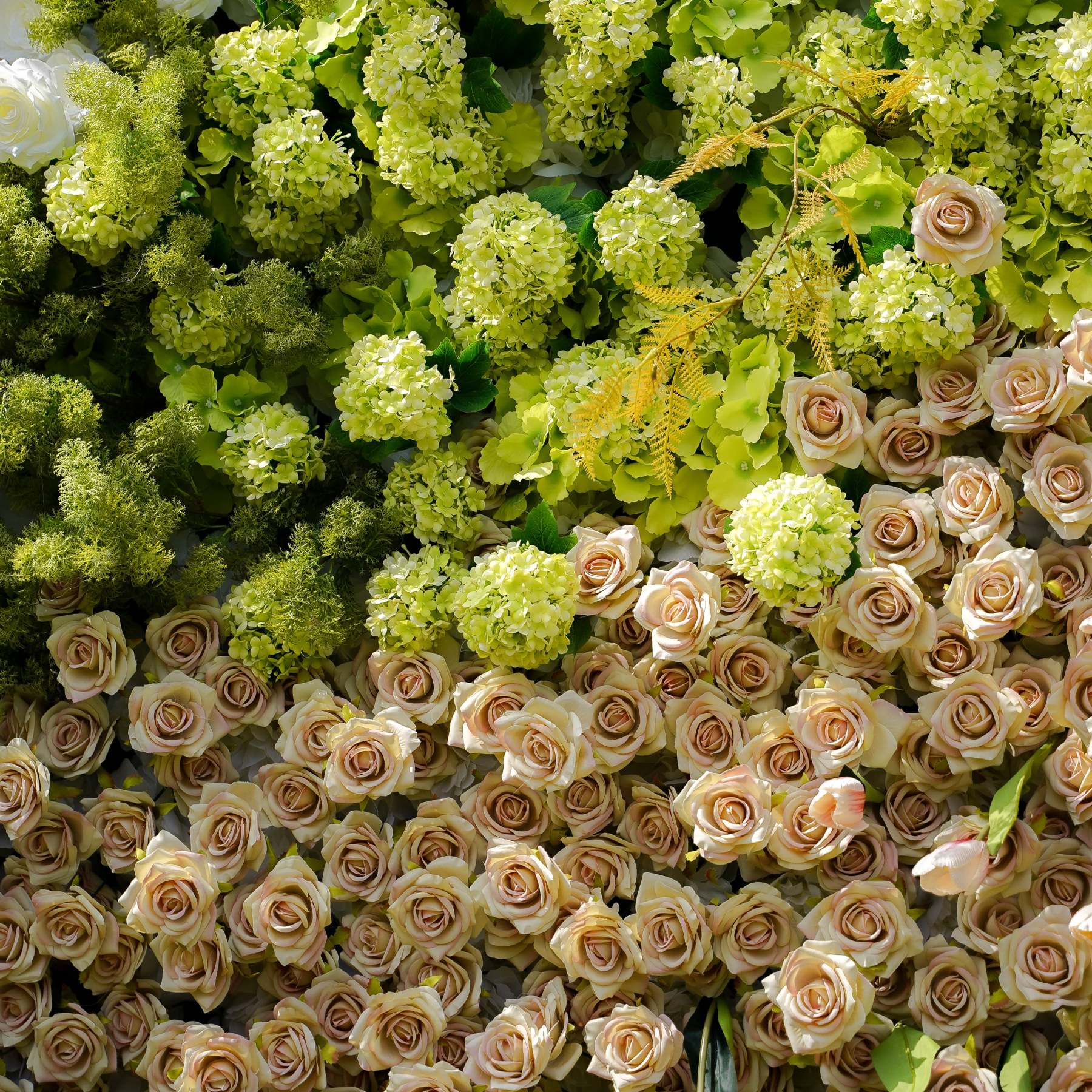 Maia：7D Fabric Artificial rolling up curtain flower wall