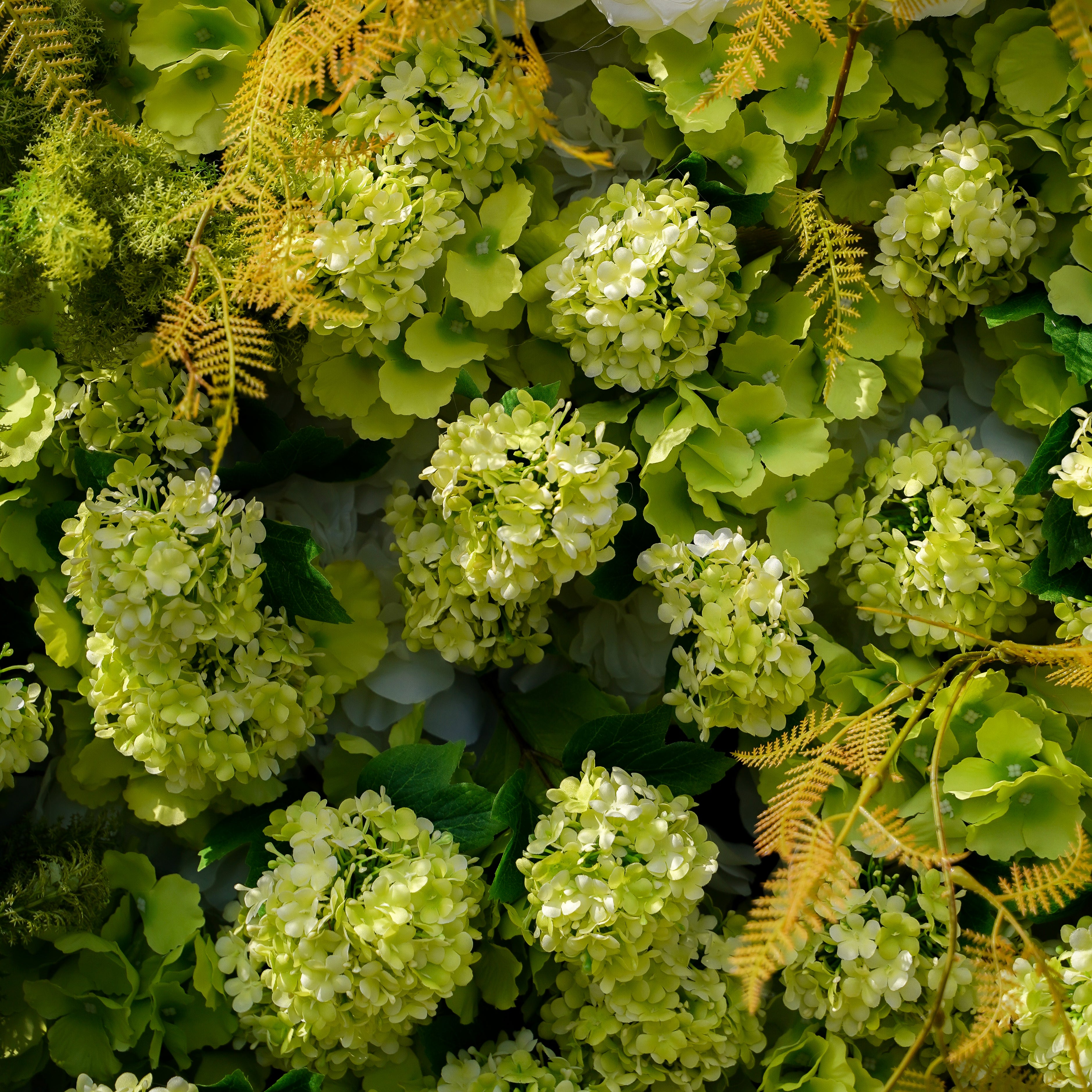 Maia：7D Fabric Artificial rolling up curtain flower wall