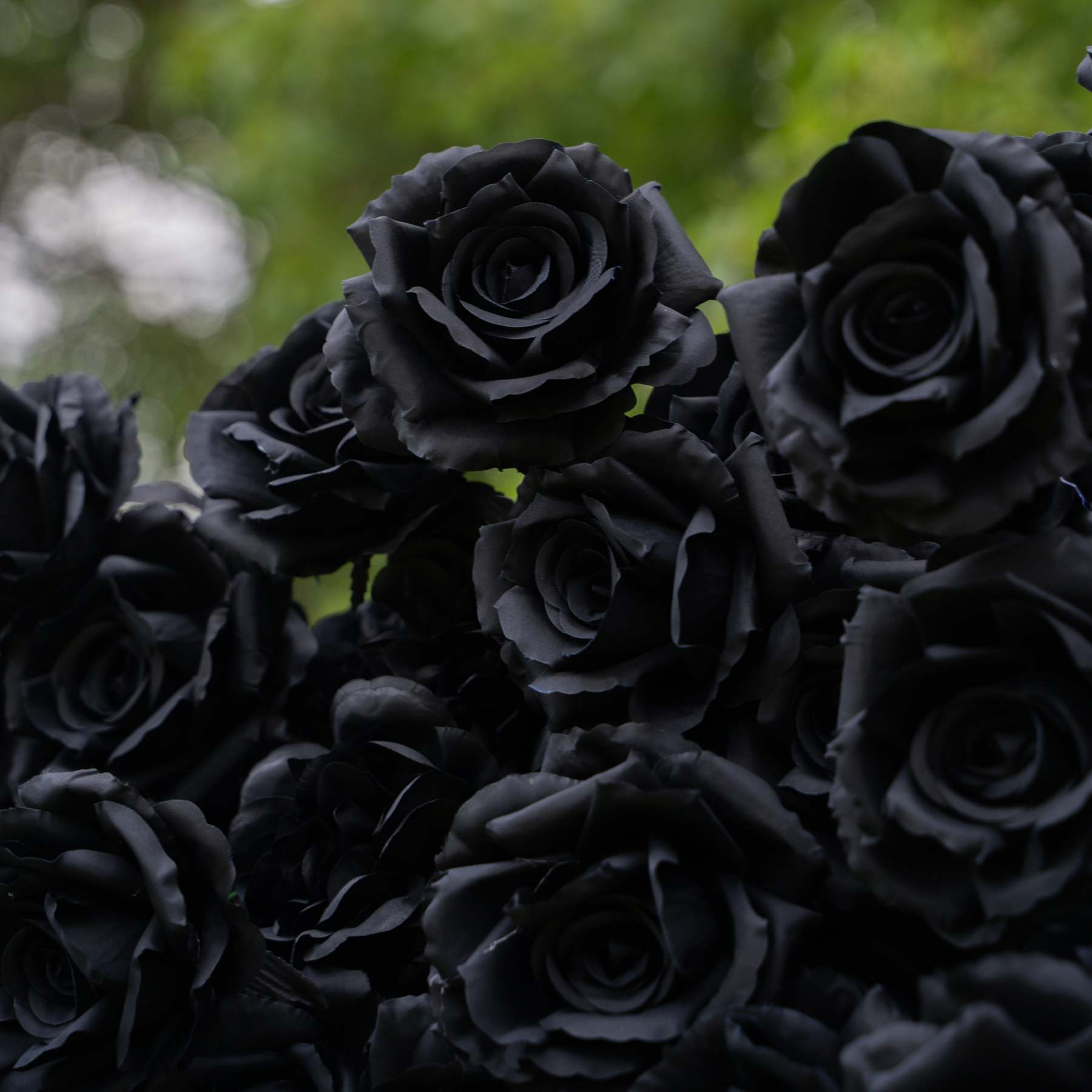Midnight：3D Fabric Artificial rolling up curtain Black Rose Flower Wall