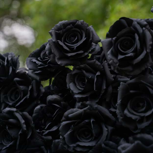 Midnight：3D Fabric Artificial rolling up curtain Black Rose Flower Wall