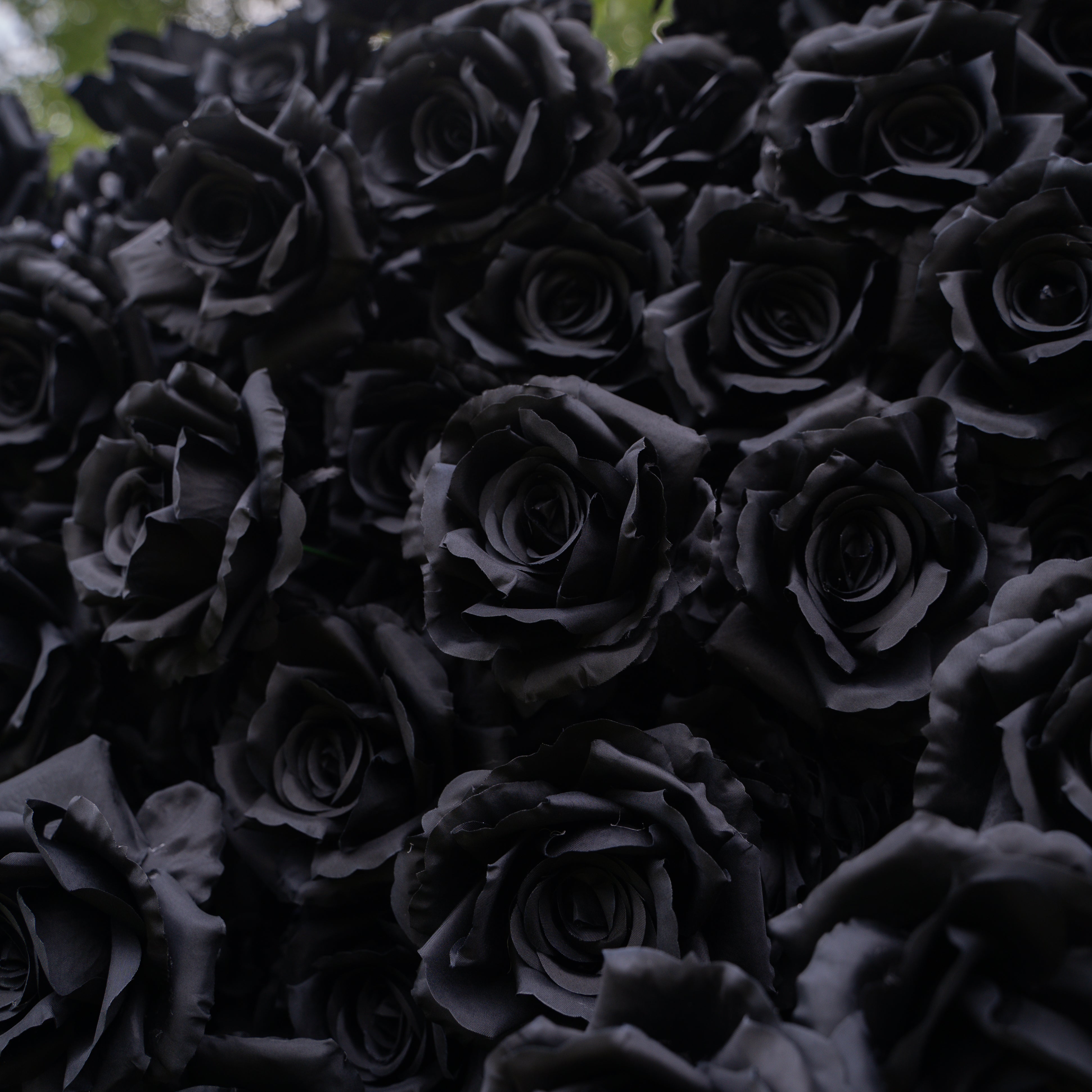 Midnight：3D Fabric Artificial rolling up curtain Black Rose Flower Wall