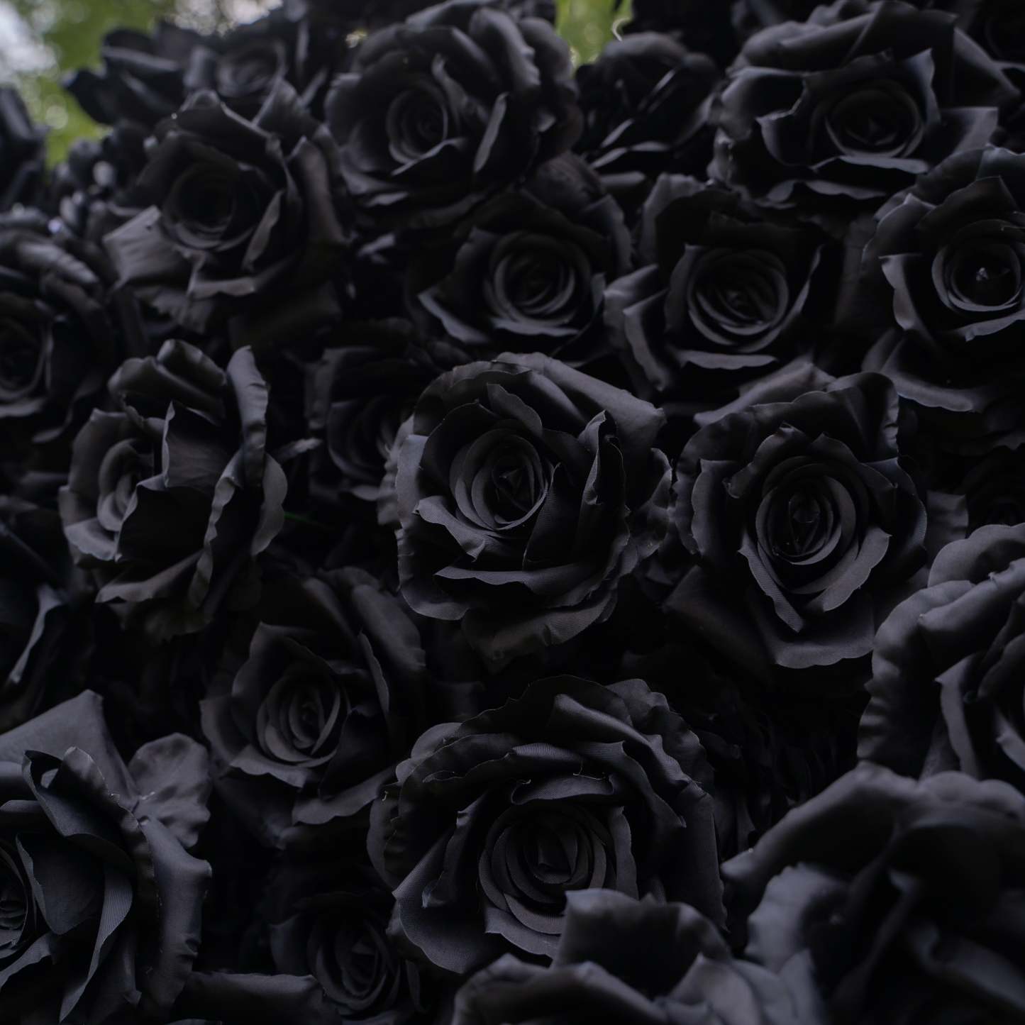 Midnight：3D Fabric Artificial rolling up curtain Black Rose Flower Wall