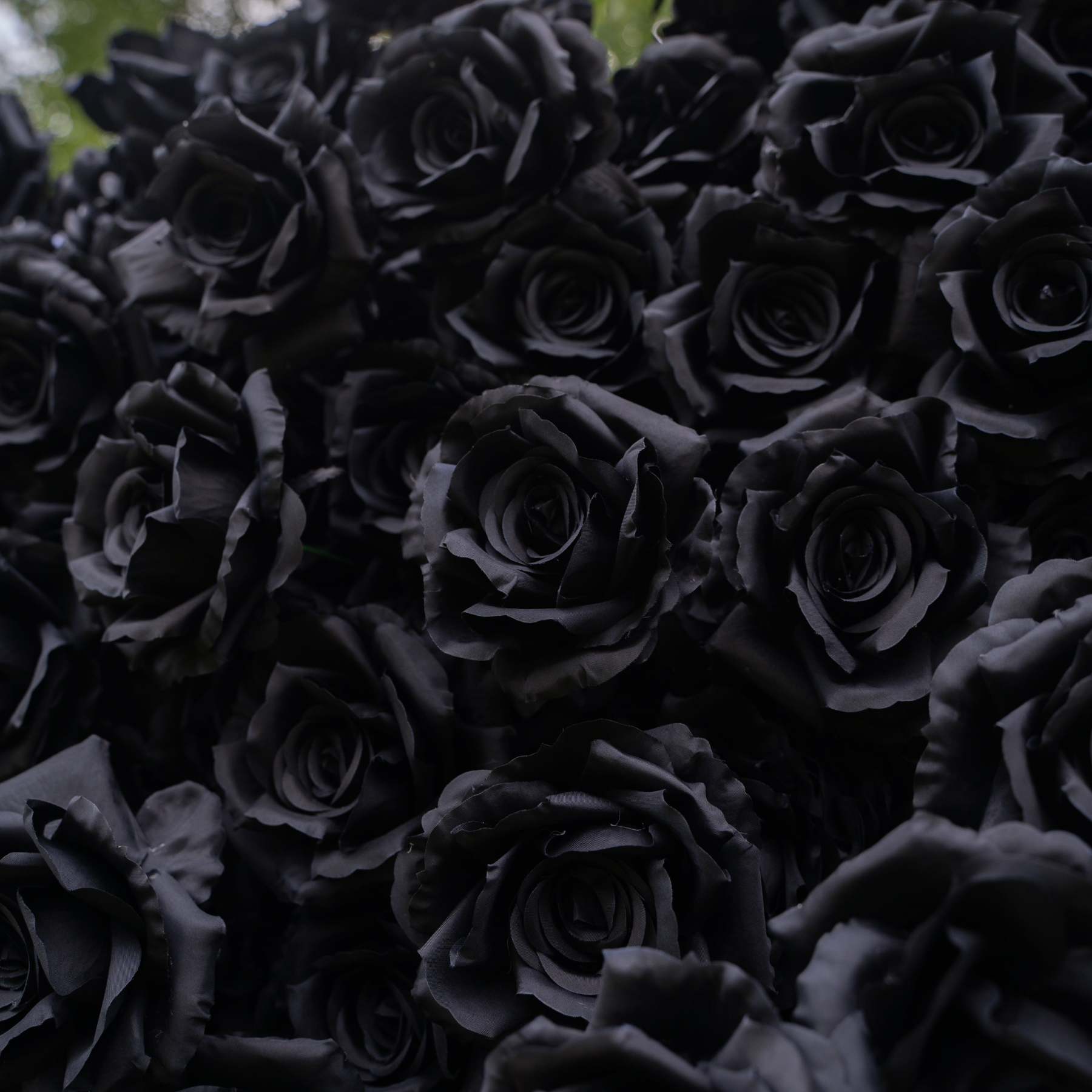 Midnight：3D Fabric Artificial rolling up curtain Black Rose Flower Wall