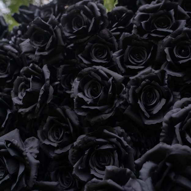 Midnight：3D Fabric Artificial rolling up curtain Black Rose Flower Wall