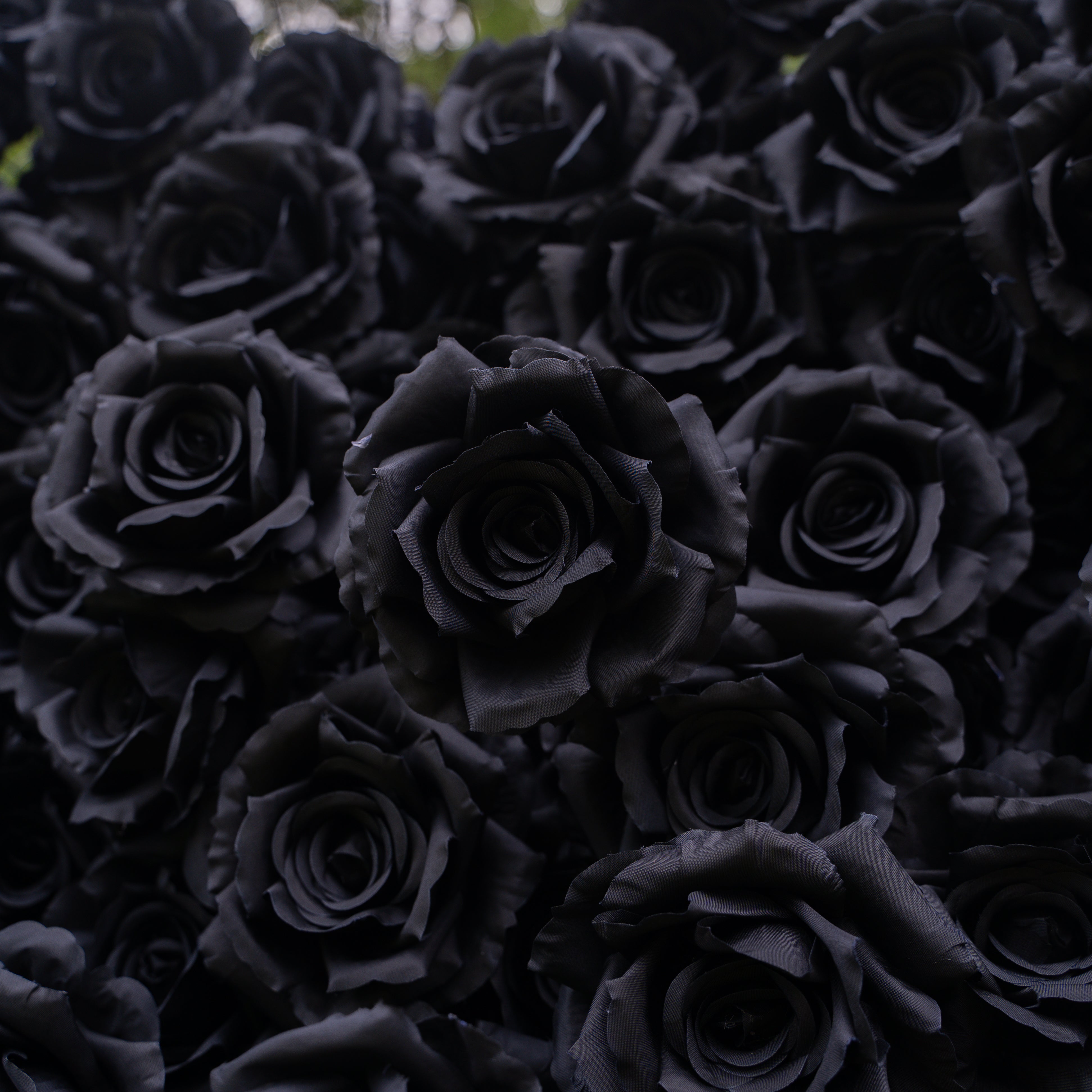 Midnight：3D Fabric Artificial rolling up curtain Black Rose Flower Wall