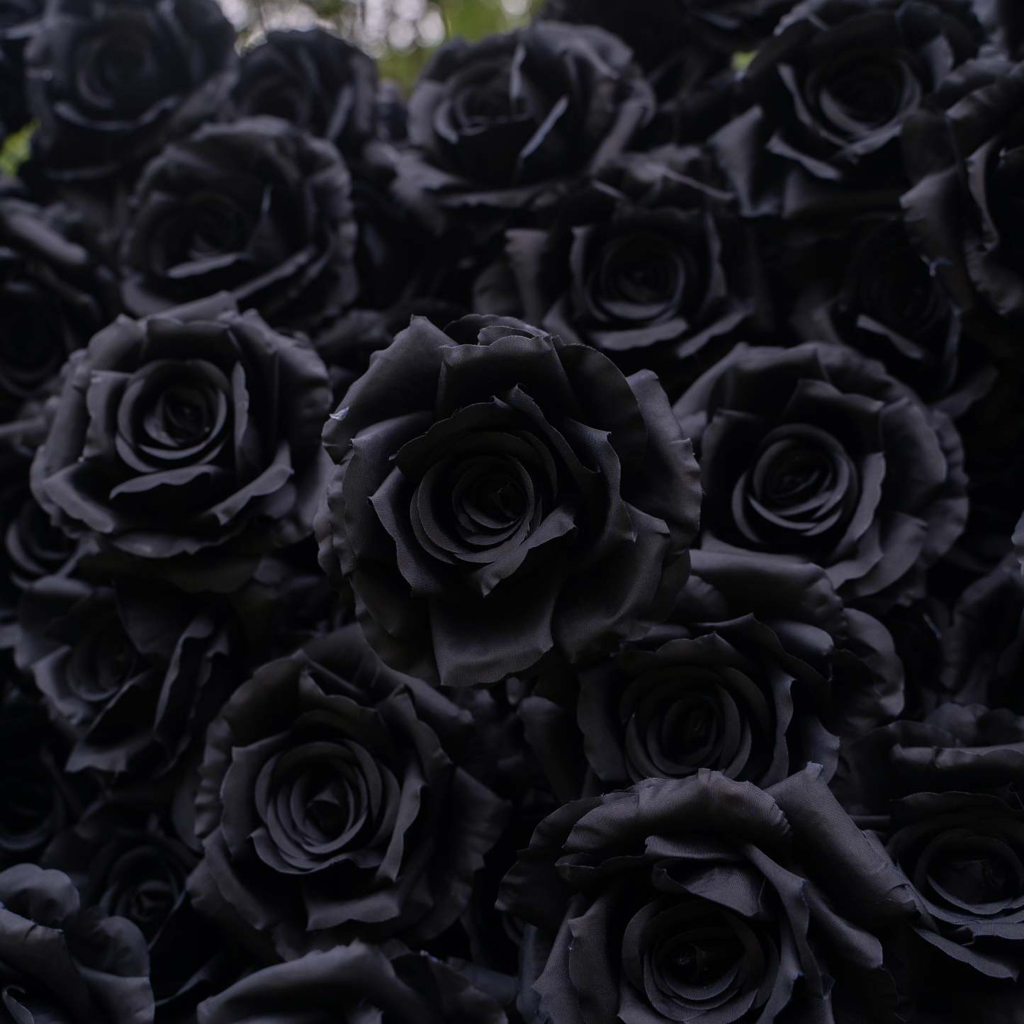 Midnight：3D Fabric Artificial rolling up curtain Black Rose Flower Wall