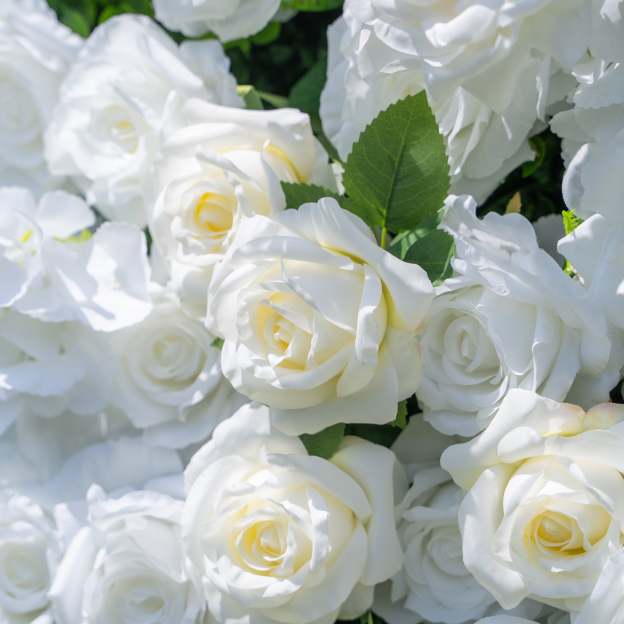 Moonlight：3D Fabric Artificial rolling up curtain flower wall