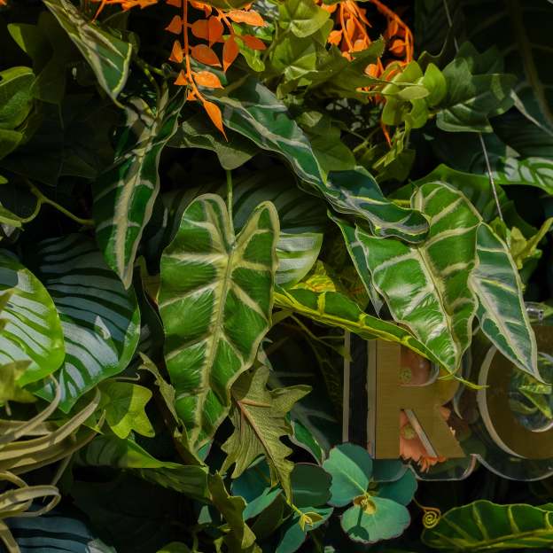 Shelley：7D Fabric Artificial rolling up curtain flower wall