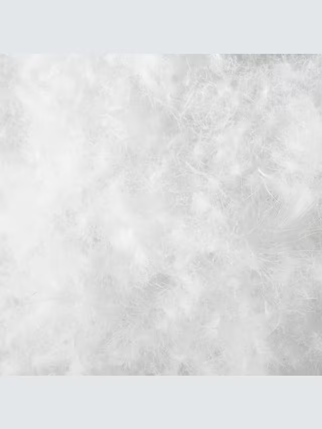 Natural Collection Hungarian Goose Down Standard Pillow, Medium (3)