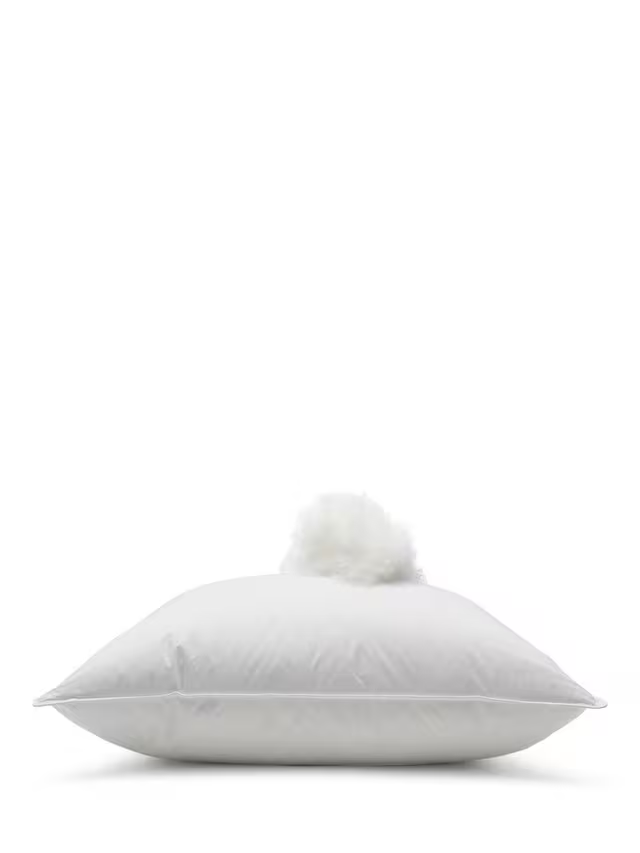 Feather & Down Square Pillow, Medium