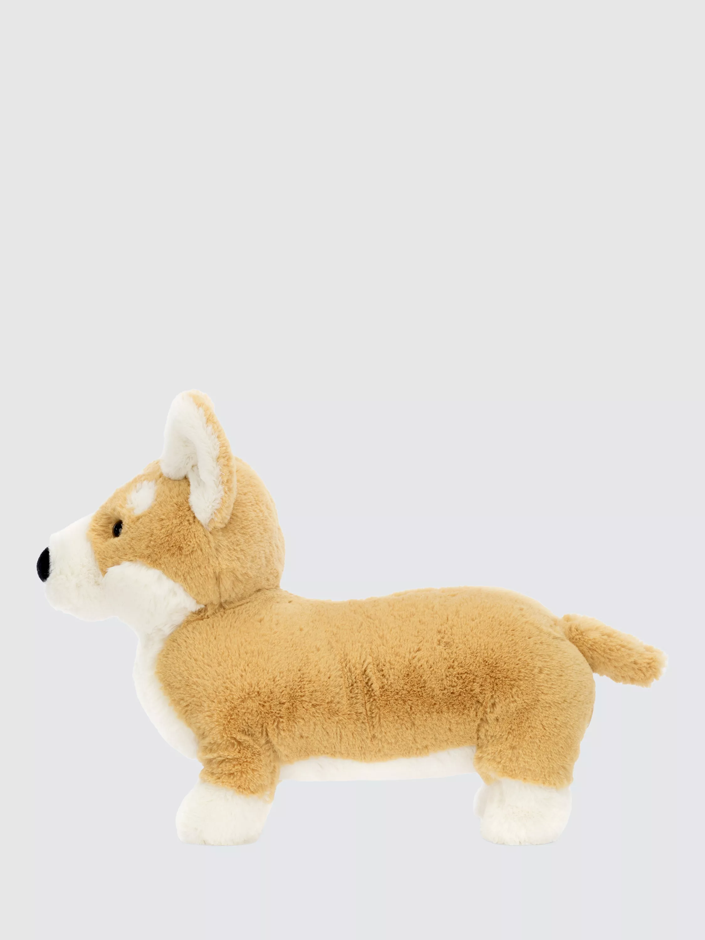 Betty Corgi Dog Soft Toy, Medium