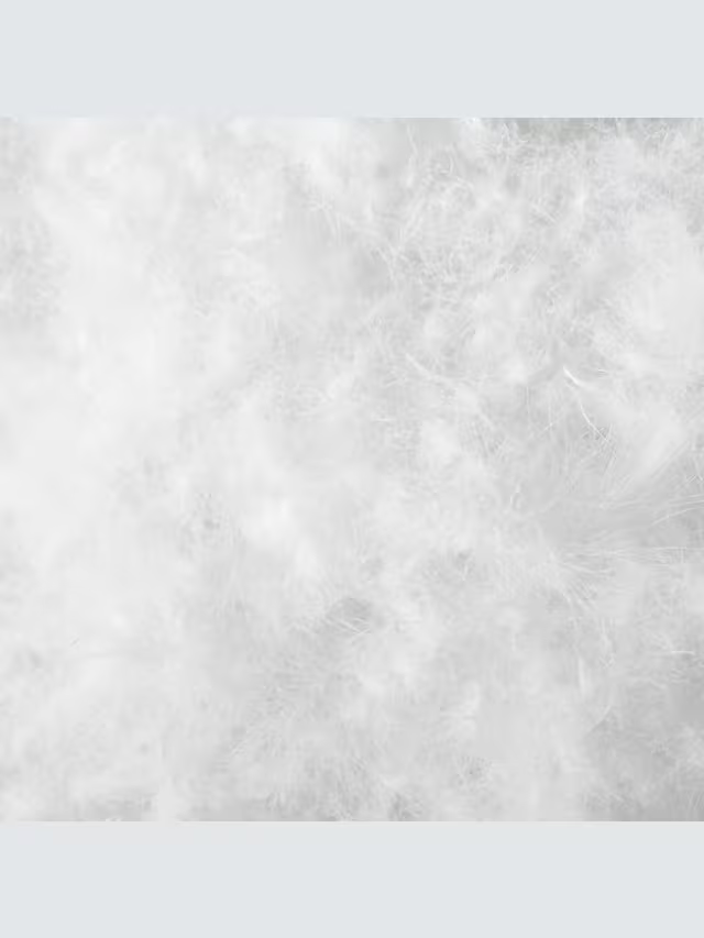 Natural Collection Hungarian Goose Down Duvet, 13.5 Tog