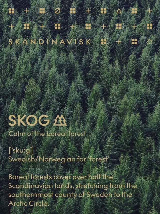 Skog Two Wick Scented Candle, 350g