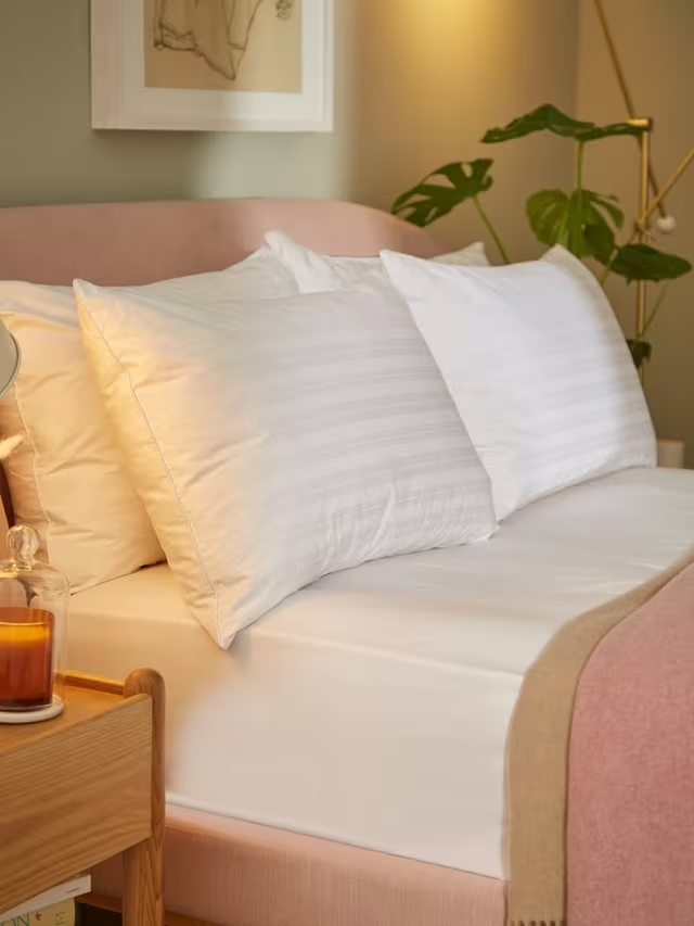 Natural Collection Goose Feather & Down Pillow, Medium (3)