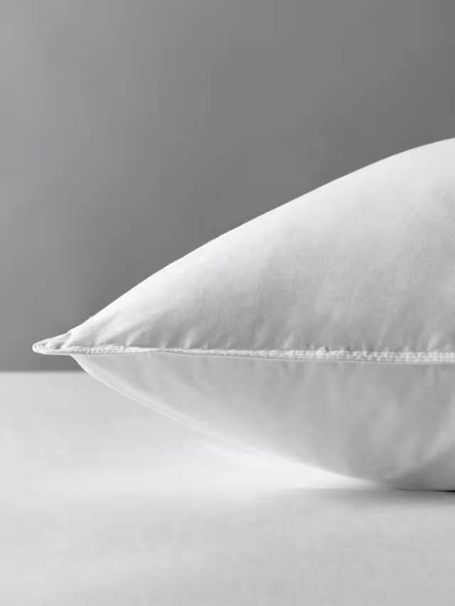 Natural Duck Feather and Down Standard Pillow, Soft (1)