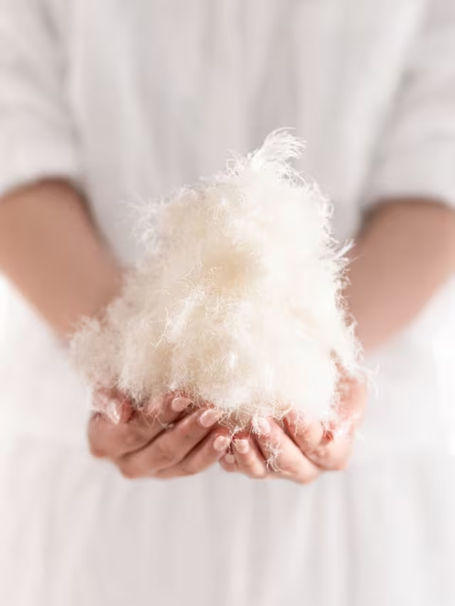 Feather & Down Kingsize Pillow, Soft