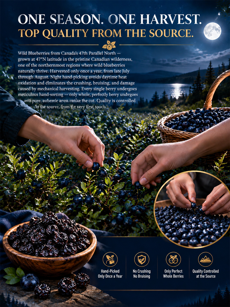 🫐【 TODAY ONLY: Buy 1 Get 1 Free! 】👉 Premium Canadian Wild Dried Blueberries | Zero Sugar Antioxidant Superfood