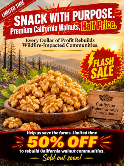 🌰【 TODAY ONLY: Buy 2 Get 2 FREE! 】👉 Premium Honey-Glazed Peeled Walnuts | No Bitter Skin Healthy Snack