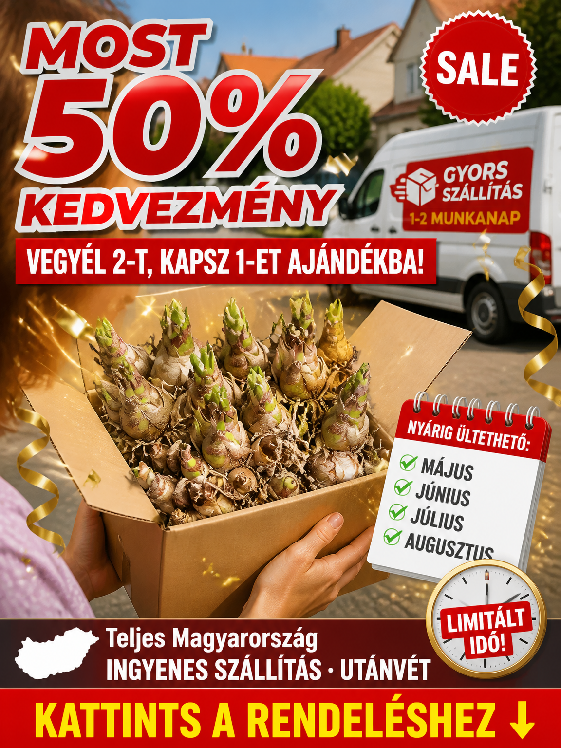 【Földhöz érve életre kel】Királyi szintű · Többszínű, telt szirmú esti tubarózsa gumó