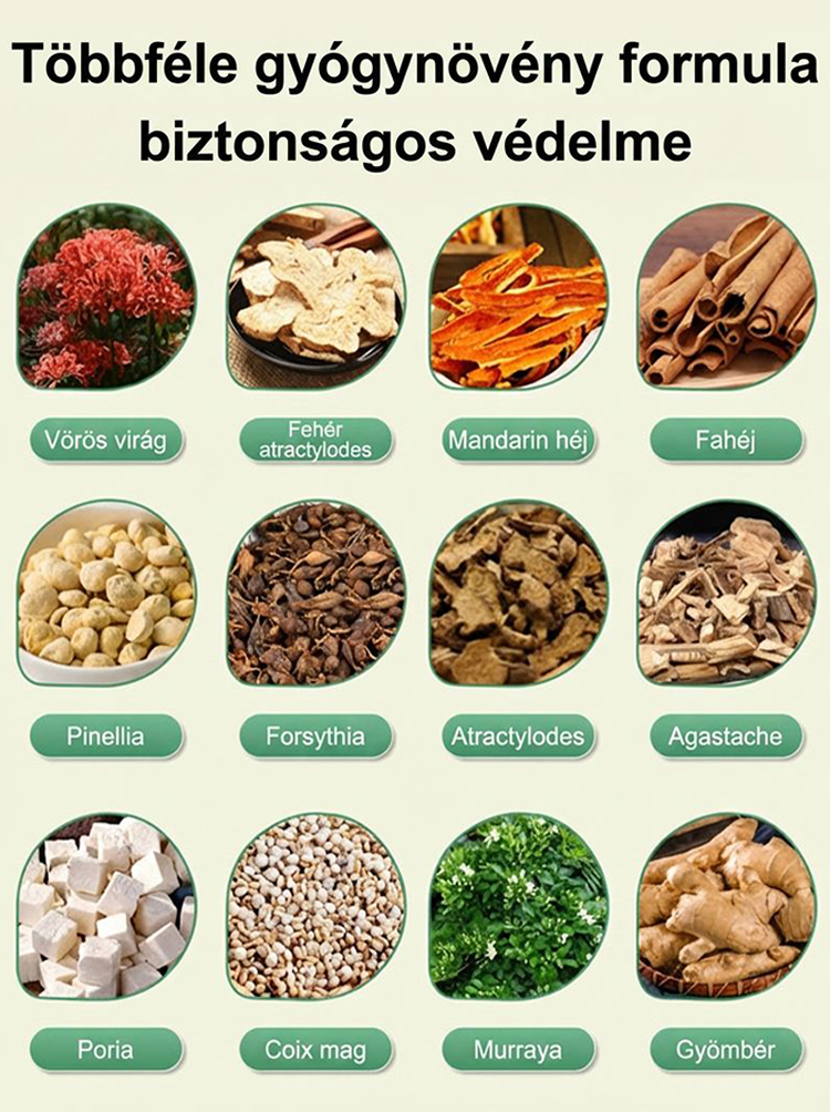 Gyógynövényes Haslapító Tapasz