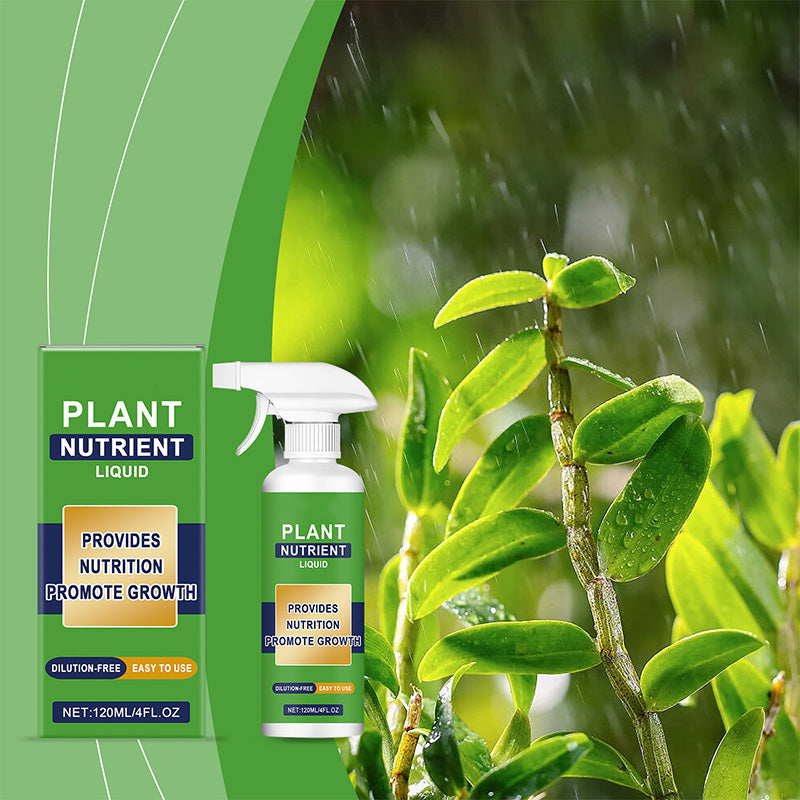 Plant nutrient spray for indoor and outdoor plants
