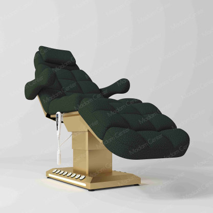 1017B Electric Beauty Bed | Foot Control