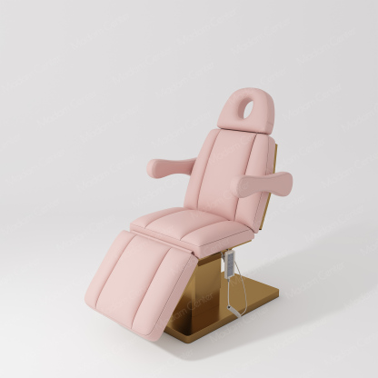 0113 Electric Beauty Bed | Adjustable Lifting Reclining-madamcenterBeauty & Lash.,Beauty Bed.,热销,美容床,Beauty Bed