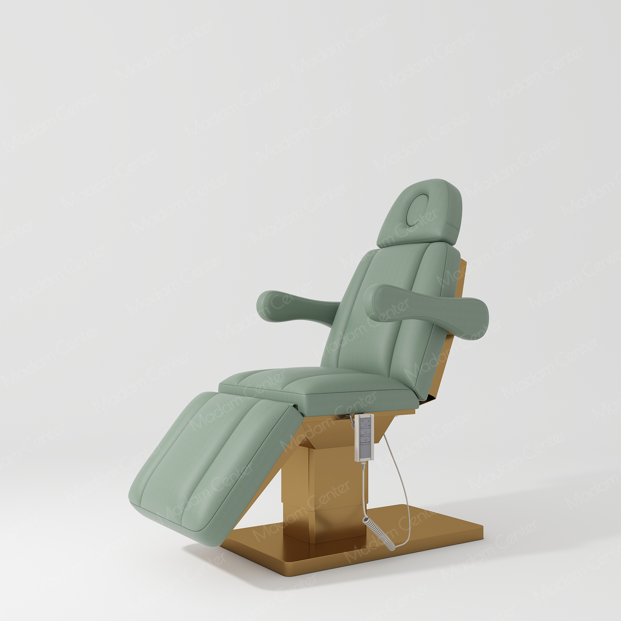 0113 Electric Beauty Bed | Adjustable Lifting Reclining-madamcenterBeauty & Lash.,Beauty Bed.,热销,美容床,Beauty Bed