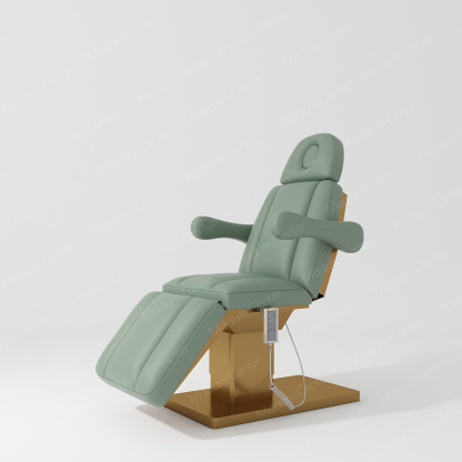 0113 Electric Beauty Bed | Adjustable Lifting Reclining-madamcenterBeauty & Lash.,Beauty Bed.,热销,美容床,Beauty Bed